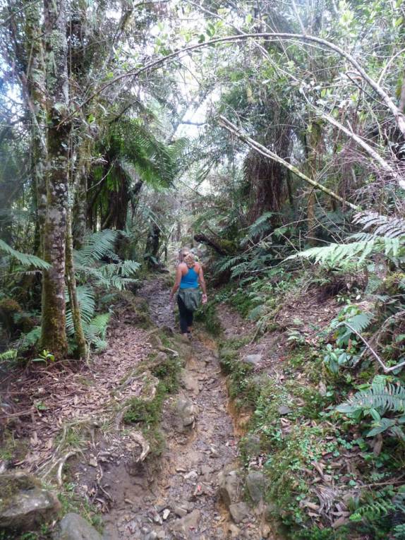 Descendo a trilha do Pico Duarte, na República Dominicana
